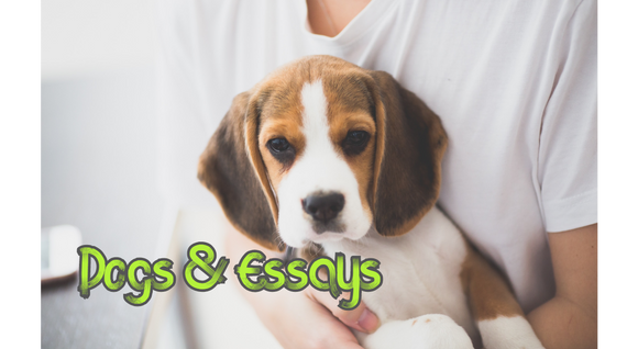 Dogs & Essays