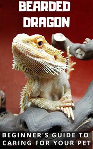 Bearded Dragon Care - Updated For 2019: Beginner's Guide to Caring for Your Pet