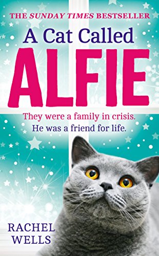 A Cat Called Alfie: The perfect book to warm your heart this Christmas