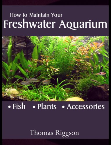 How to Maintain Your Freshwater Aquarium