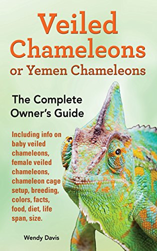 Veiled Chameleons or Yemen Chameleons as pets: Including info on baby veiled chameleons, female veiled chameleons, chameleon cage setup, breeding, colors, facts, food, diet, life span, size.