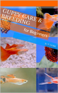 Guppy Care & Breeding for Beginners