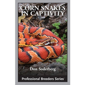 Corn Snakes in Captivity