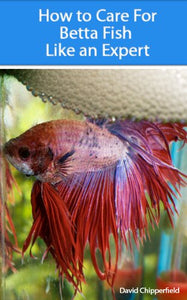 How to Care for Betta Fish Like an Expert (Aquarium and Turtle Mastery Book 4)