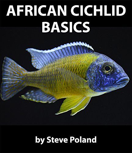 African Cichlid Basics