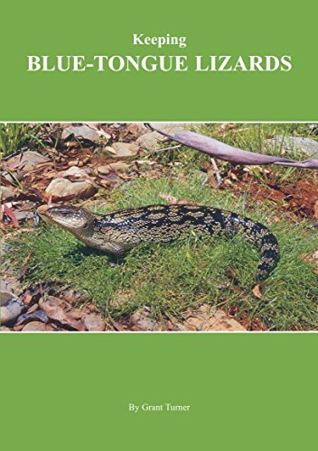 Keeping Blue-Tongue Lizards