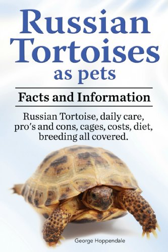 Russian Tortoise as pets.  Russian Tortoises: facts and information. Daily care, pro’s and cons, cages, costs, diet, breeding all covered.