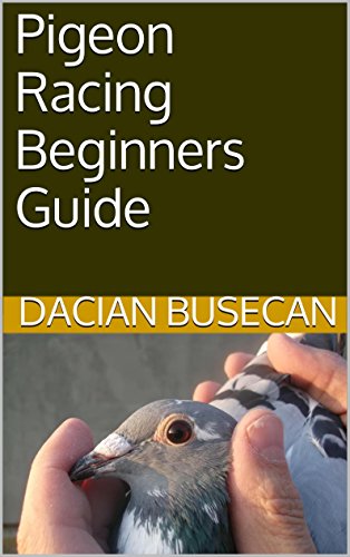 Pigeon Racing Beginners Guide