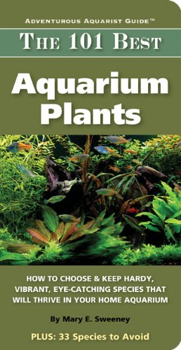 101 Best Aquarium Plants (Adventurous Aquarist Guide)